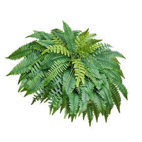 Artificial Ferns, 50 Inch Fake Boston Fern Bush Plant with 96 Fronds, Large Faux Greenery for Indoor and Outdoor Decor, Silk & LDPE